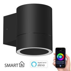 Smart Home Wandleuchte BIDO für außen, Aluminium Downlight + LED-Lampe Alexa, dimmbar, Farbtemperatur steuerbar (Farbe, Leuchtmittel wählbar)